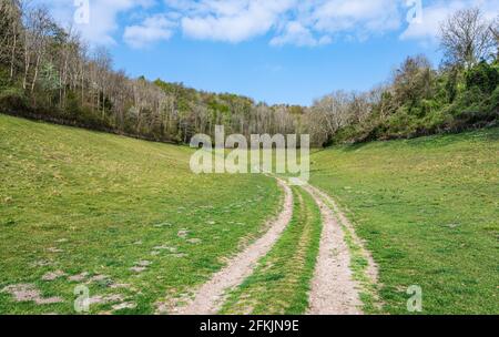 Blick auf die Landschaft eines Grastals im Arundel Park (Norfolk Estate), Teil des South Downs National Park, im Frühjahr in West Sussex, Großbritannien. Stockfoto