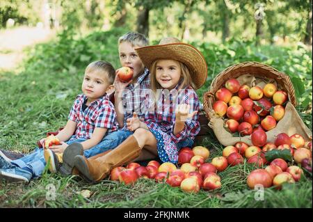 Kinder mit Apple im Apple Orchard. Kind essen Bio Apfel in den Obstgarten. Ernte Konzept. Garten, Kleinkind Obst essen im Herbst Ernte. Ein Stockfoto