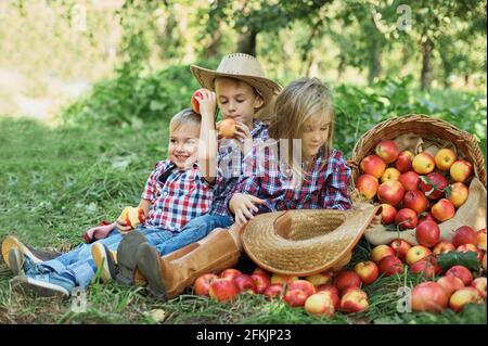 Kinder mit Apple im Apple Orchard. Kind essen Bio Apfel in den Obstgarten. Ernte Konzept. Garten, Kleinkind Obst essen im Herbst Ernte. Ein Stockfoto