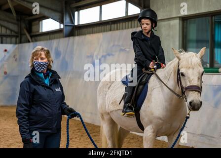 Junge Reitpferd, Reiten für Behinderte bei Muirfield Riding Therapy, East Lothian, Schottland, UK Stockfoto