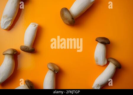 Essbare Eringi, King Trompete, französisch Horn Pilz flach legen Vollrahmen auf glänzend gelben Hintergrund. Draufsicht, lebendige Farben, kein horizontales Personenbild. Stockfoto