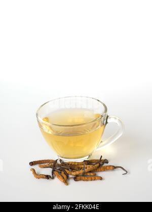 Wählen Sie Fokus der Pilz Cordyceps (CHONG CAO) diese Kräuter. Mit einem Glas Wasser, Wasser aus dem Ophiocordyceps sinensis Hinzufügen extrahieren. Arzneimittel Prop Stockfoto