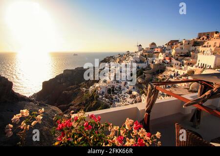 Malerischer Blick auf Oia auf Santorini, Griechenland, bei Sonnenuntergang mit einem Kreuzfahrtschiff in den Hintergrund und die Blumen im Vordergrund Stockfoto