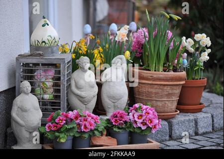 Hauseingang Gartendekoration mit Frühlingsblumen: Primeln, Hyazinthen und Narzissen Stockfoto