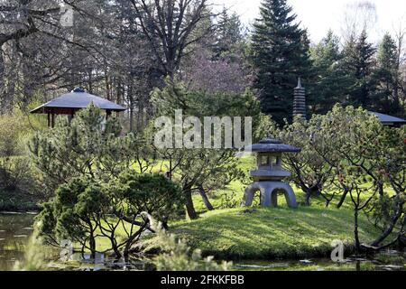 Japanischer Garten, orientalische Kultur. Alte Yukimi-toro Steinlaterne, Pagode, Pavillon und Teich mit Pinien Stockfoto