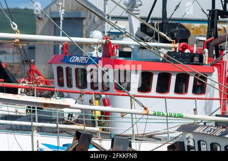 Troon, Schottland, Großbritannien. Mai 2021. UK Wetter: Fischerboote in Troon Harbour. Kredit: Skully/Alamy Live Nachrichten Stockfoto