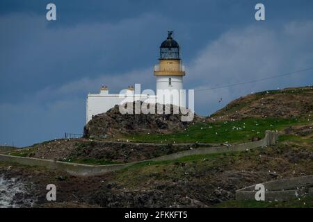 Edinburgh, Midlothian, Großbritannien. 2/5/2021 Yellowcraig Beach, East Lothian, Schottland Stockfoto