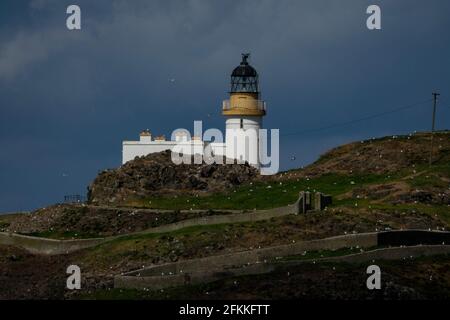 Edinburgh, Midlothian, Großbritannien. 2/5/2021 Yellowcraig Beach, East Lothian, Schottland Stockfoto