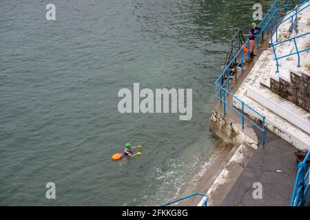 Wildschwimmen, Plymouth, Großbritannien Stockfoto