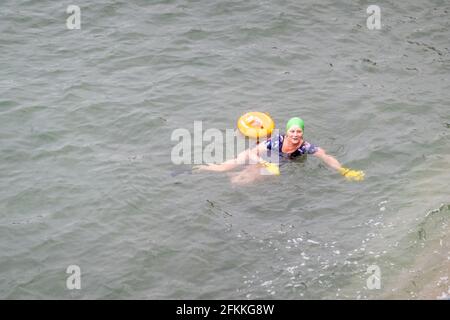 Wildschwimmen, Plymouth, Großbritannien Stockfoto