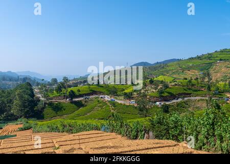 Kandy SriLanka Stockfoto