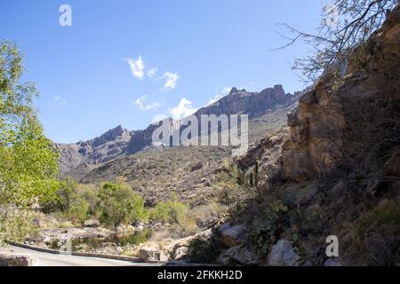 Frühling im Sabino Canyon, in den Santa Catalina Mountains nördlich von Tucson, Arizona. Stockfoto