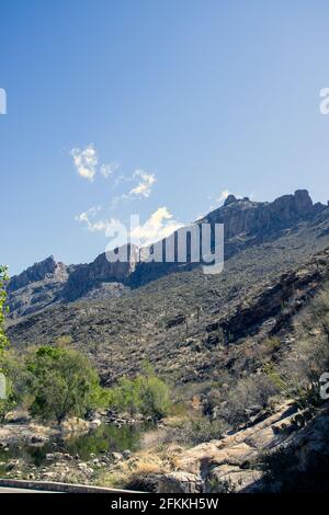 Frühling im Sabino Canyon, in den Santa Catalina Mountains nördlich von Tucson, Arizona. Stockfoto