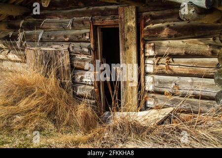 Alte Bergarbeiterhütte, gebaut in den 1800er Jahren während des Goldrausches in Atlin, im Norden von British Columbia. Stockfoto