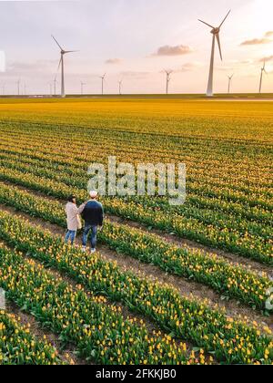 Tulpenfeld in den Niederlanden, farbenfrohe Tulpenfelder in Flevoland Noordoostpolder Holland, niederländische Frühlingsansichten in den Niederlanden, Paar Mann und Frau mittleren Alters im Blumenfeld Stockfoto