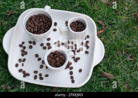 Tablett mit drei verschiedenen Tassen gefüllten Kaffeebohnen, die von aufbewahrt werden Auf dem Gras Stockfoto