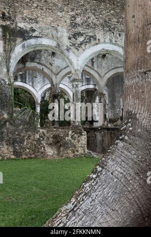 La Hacienda Uayamón localizada a 27 km de la ciudad De Campeche tuvo sus orígenes en el siglo XVI cuando Su actividad era la ganadería y el cultivo de Stockfoto