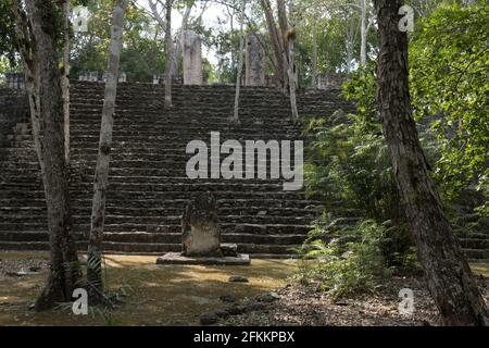 Maya-Pyramide und Stela in Calakmul Stockfoto