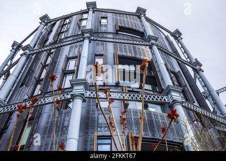 Gasholders London Kings Cross - 145 Wohnungen und Penthäuser am Canalside im denkmalgeschützten Rahmen der ehemaligen Gasholders Coal Drops Yard London gebaut. Stockfoto