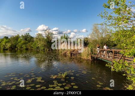 Menschen genießen sonniges Frühlingswetter am Ufer von Savica Seen in der grünen Gegend von Zagreb Stadt um östlichen Heizanlage Stockfoto