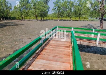 Promenade über einen sumpfigen Mangrovenwald am Hiron Point in Sundarbans, Bangladesch Stockfoto