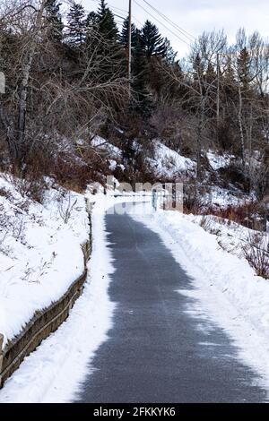 Winter entlang des Elbow River Pathway, Calgary, Alberta, Kanada Stockfoto