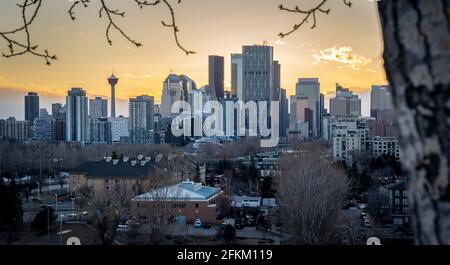 Sonnenuntergang im Stadtbild von Calgary, Alberta, Kanada, im Tom Campbell Park. Stockfoto