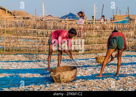 DUBLAR CHAR, BANGLADESCH - 14. NOVEMBER 2016: Die Einheimischen trocknen Fisch auf der Insel Dublar Char Dubla, Bangladesch Stockfoto