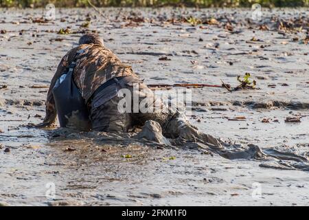 SUNDARBANS, BANGLADESCH - 14. NOVEMBER 2016: Tourist an einer schlammigen Flussküste während einer Sundarbans-Tour, Bangladesch. Stockfoto