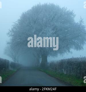 Cheriton, Großbritannien - 1. Januar 2021: Raureif und Frost am Neujahrstag 2021 in der Nähe des Old Winchester Hill über dem Meon Valley in den South Downs Stockfoto