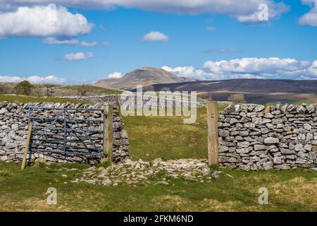 Die Yorkshire Dales drei Gipfel von Smearsett Scar in der Nähe genommen, um sich in Craven niederzulassen Stockfoto