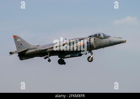 RAF Harrier GR 7 Jump Jet Jagdflugzeug schwebt auf der Royal International Air Tattoo Airshow, RAF Fairford, Großbritannien. Royal Air Force BAE Harrier GR7 ZD431 Stockfoto