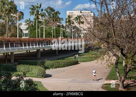 Die Blumenbrücke überquert den Jardin del Turia in der Stadt Valencia. Architekt Santiago Calatrava. Spanien, Europa Stockfoto