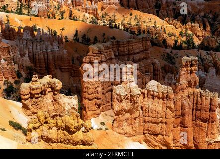 Hoodoo Sandsteinformationen, Bryce Canyon Nationalpark, Utah, Vereinigte Staaten von Amerika, USA. Stockfoto