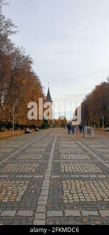 Königsberger Dom, im Herbst in Königsberg Stockfoto