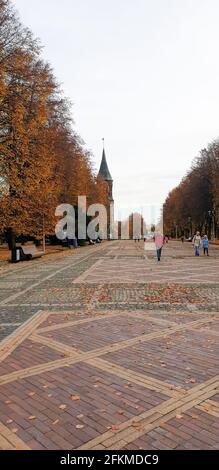 Königsberger Dom, im Herbst in Königsberg Stockfoto