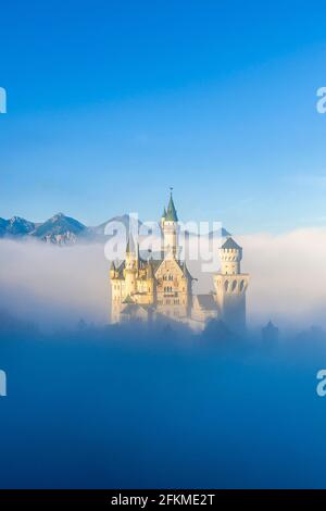 Schloss Neuschwanstein im Frühnebel im Herbst, bei Schwangau, Ostallgäu, Allgäu, Schwaben, Bayern, Deutschland Stockfoto