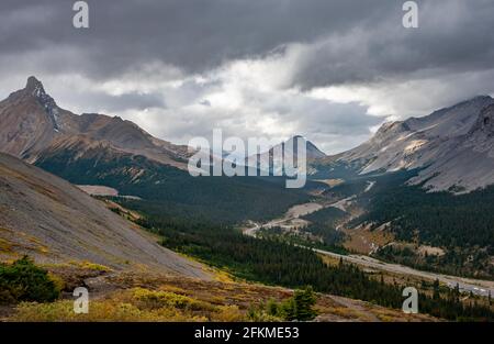 Blick auf die Berge Hilda Peak, Mount Wilcox und Nigel Peak und Wilcox Pass im Herbst, Parker Ridge, Sunwapta Pass, Icefields Parkway, Jasper National Stockfoto