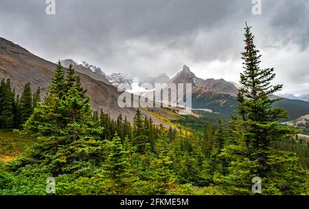 Blick auf Berge und Gletscher, Mount Athabasca und Hilda Peak im Herbst, Parker Ridge, Icefields Parkway, Jasper National Park National Park Stockfoto