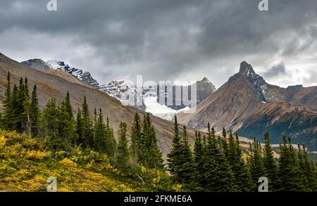 Blick auf Berge und Gletscher, Mount Athabasca und Hilda Peak im Herbst, Parker Ridge, Icefields Parkway, Jasper National Park National Park Stockfoto