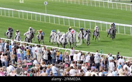 RACING NEWMARKET. DAS SUPER 6 HANDICAP FÜR GRAUE PFERDE. 1. JIM CROWLEY ÜBER SARAH'S ART, 2. WILLIAM CARSON ÜBER ZOWINGON, 3. ANDREA ATZENI ÜBER BILLBERRY. 15/8/09. BILD DAVID ASHDOWN Stockfoto