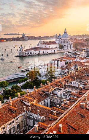 Abendstimmung, Sonnenuntergang am Canale Grande, Basilika Santa Maria della Salute, Venedig, Region Venetien, Italien Stockfoto