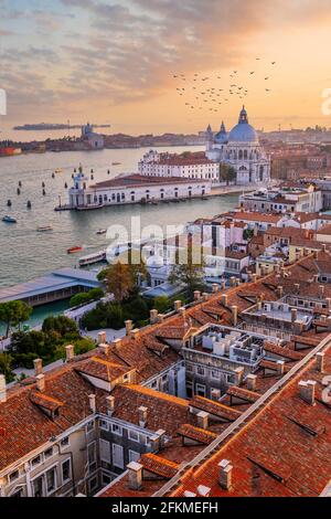 Abendstimmung, Sonnenuntergang am Canale Grande, Basilika Santa Maria della Salute, Venedig, Region Venetien, Italien Stockfoto