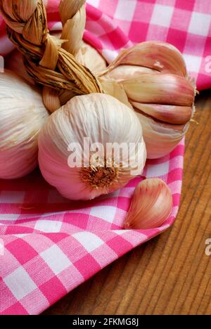 Knoblauchzopf, Aglio rosso di Nubia, roter Knoblauch, Sizilien, Italien Stockfoto