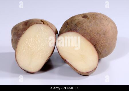 Kartoffel Edzell Blue, Kartoffeln (Solanum tuberosum) Stockfoto