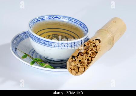 (Toosendan Fructus), Chuan Lian Zi, Pamernoster Tree Fruit Tea Stockfoto