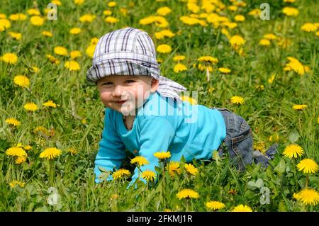 Kleinkind auf Blumenwiese, Löwling (Taraxacum officinale), kriechen, kriechen, kriechen, Kappe Stockfoto