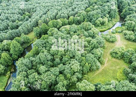 Kleiner gewundener Fluss inmitten grüner Wälder. Luftaufnahme von fliegender Drohne Stockfoto