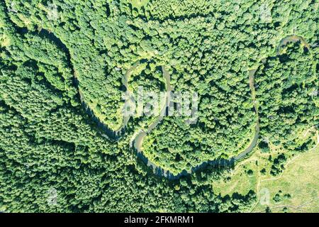 Kleiner gewundener Fluss, umgeben von grünem Wald. Luftaufnahme am Sommertag. Stockfoto