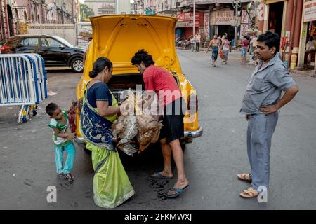 Fischmarkt, Kalkutta, Westbengalen, Indien, Asien Stockfoto